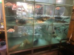 -蛙鱼道美蛙鱼自助火锅(新耍都店)