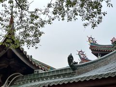 -南普陀寺