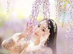 -嘉定紫藤园