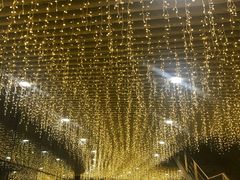 -珠海横琴长隆《卡卡虎奇遇记》