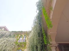 -府河摄影公园