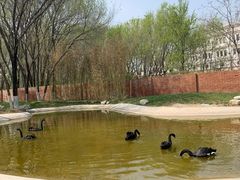 -北京野生动物园