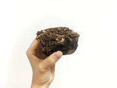 -老回回饺子馆(海洋馆店)