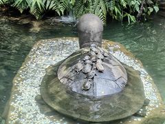 -鼎湖山风景区