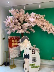 -S庆熙美学皮肤管理