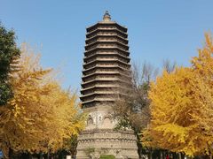 -玲珑塔公园
