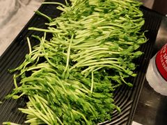 空运豆苗-红辣椒·川菜·火锅(张杨路店)