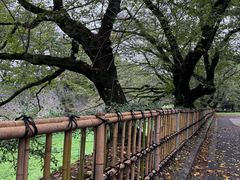 -名古屋城