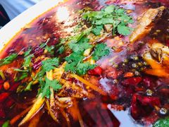 -罗妈砂锅(四川成都奎星楼店)