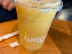 -Wagas沃歌斯(虹桥机场T1店)
