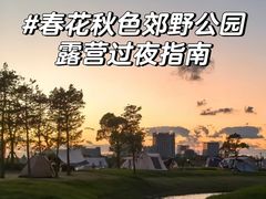 -春花秋色城市公园