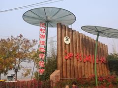 -池杉湖湿地公园