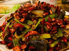 -福苗小骆驼烧烤(莲湖路店)