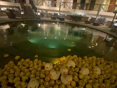 -苏州湾·王焰温泉