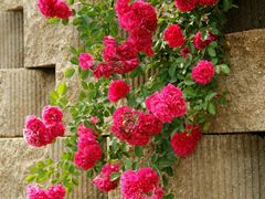 -南京金牛湖风景区