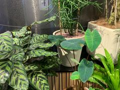 -Gee Coffee Roasters(万象天地店)