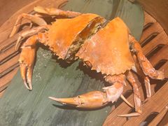 膏油蟹-成隆行·蟹王府(九江路店)