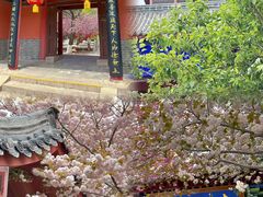 -石岛赤山风景区