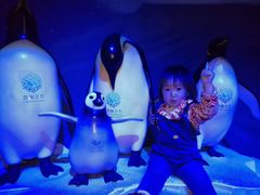 -成都浩海立方海洋公园