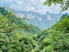 -鹿院坪生态旅游景区