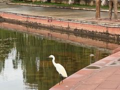 -西昌邛海宾馆