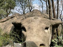 -龙井壹号·茶缘山景宴(龙井村店)