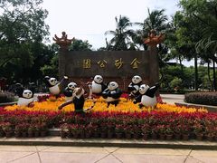 -金砂公园