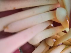 -東更道点心行(利客来店)