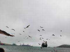 -海驴岛(荣成市)