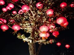 -万绿园