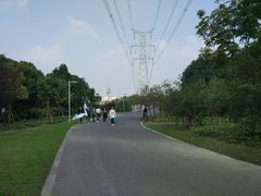 -九里河湿地公园