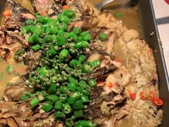 鲜麻藤椒清江鱼-鱼酷活鱼烤鱼(南京水游城店)