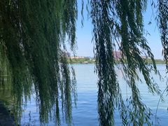 -济南大明湖景区