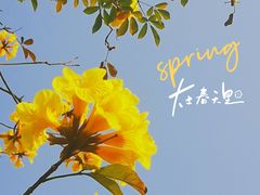 -洲头咀公园