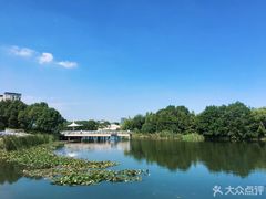 -新江湾城公园
