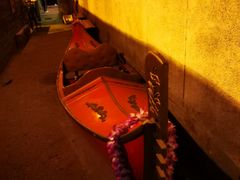 -The Tiki Bungalow提基小木屋酒吧