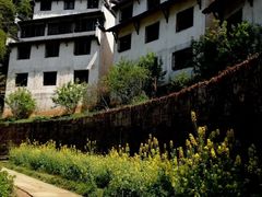 -婺源风景区