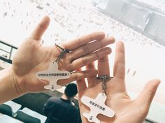 -南京奥林匹克体育中心-体育馆