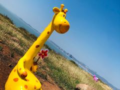 -漳州滨海火山岛自然生态风景区