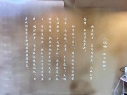 -肌理言健康美肌驻颜所