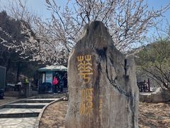 -北京西山国家森林公园