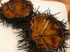 -海胆小馆(东北水饺·春柳店)