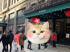 -上海和平饭店龙凤厅 Dragon Phoenix