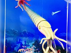 -国家自然博物馆