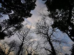 -城隍阁
