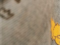 -汪说喵讲宠物乐园宠物酒店(红星美凯龙店)