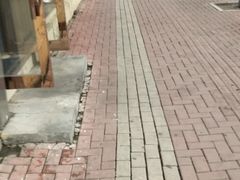 -哈尔滨文化公园