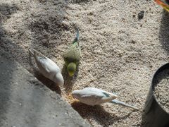 -顺德南宏海立方海洋公园