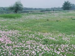 -良渚古城遗址公园