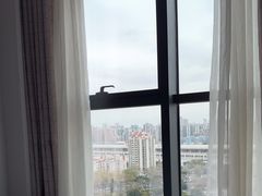 -珠海拱北口岸智选假日酒店